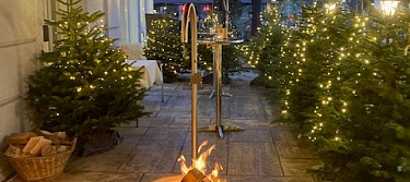 Forest fondue fir forest terrace Euler